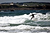 Irisches Surf Paradies Bundoran
